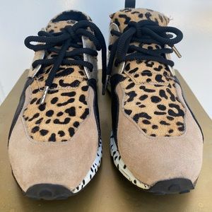 Steve Madden Cliff Sneaker